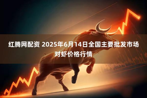 红腾网配资 2025年6月14日全国主要批发市场对虾价格行情
